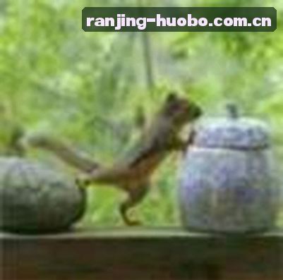 周鹏